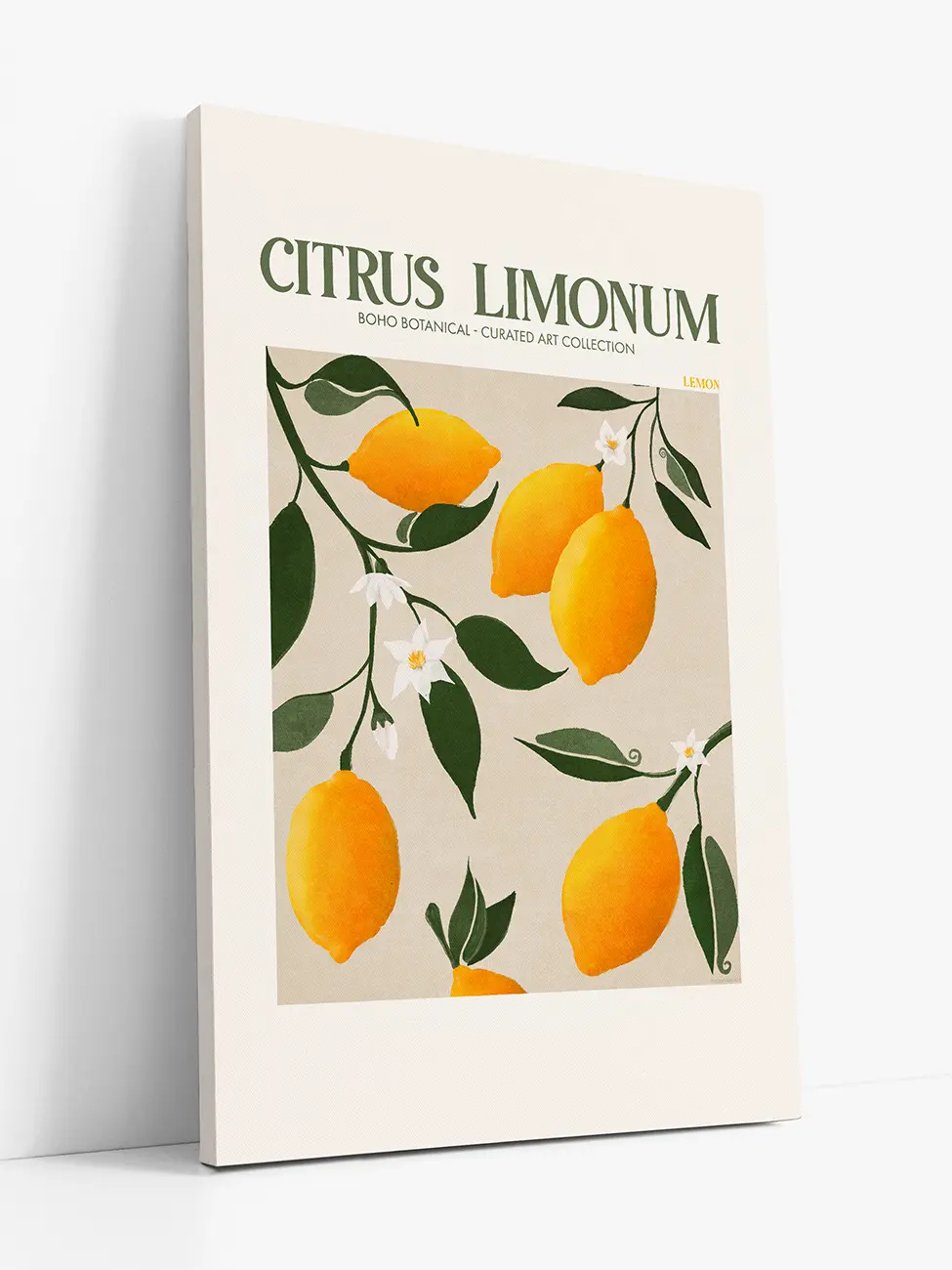 Лимон (Citrus Limonum)