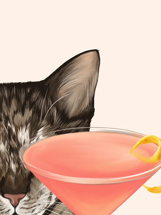 Котка с Космополитън