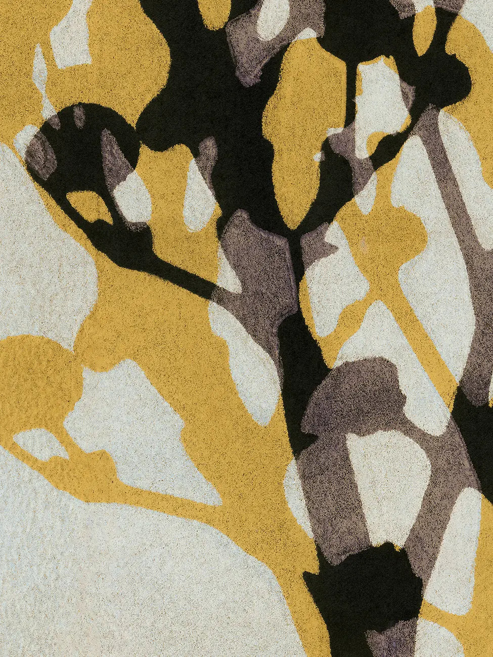 Echoes of Gypsophila