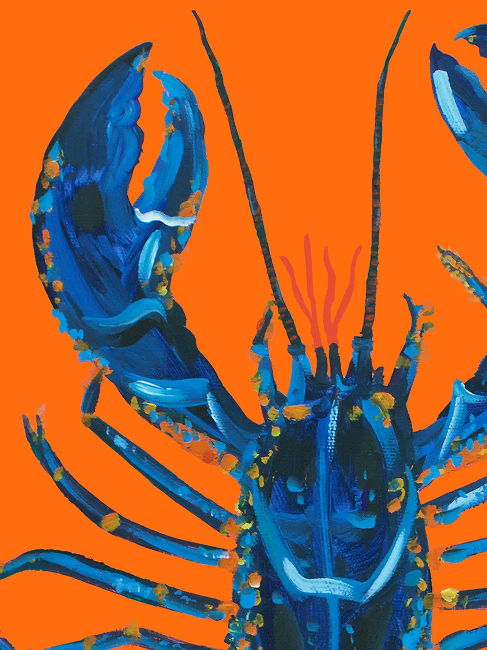 Lobster On Orange
