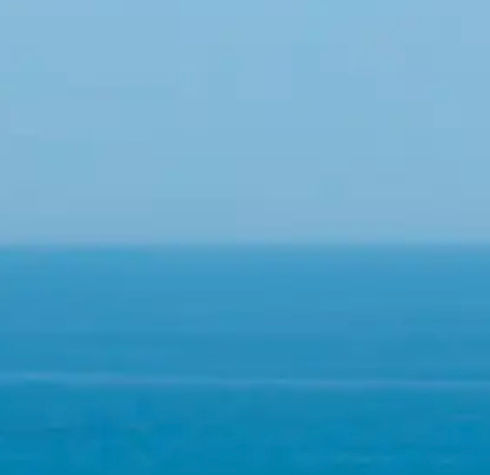 Unknown Artist portrait