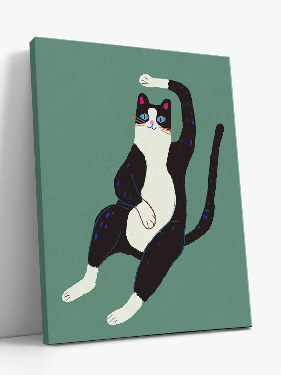Black and White Cat