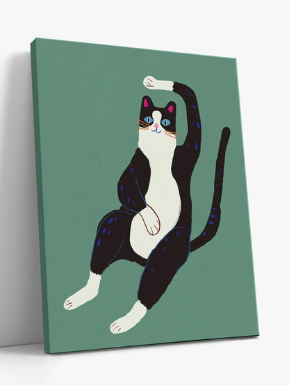 Black and White Cat