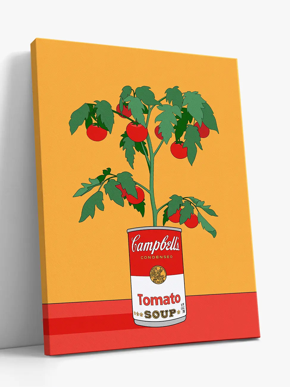 Campbell's Tomato Plant