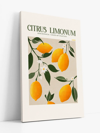 Лимон (Citrus Limonum)