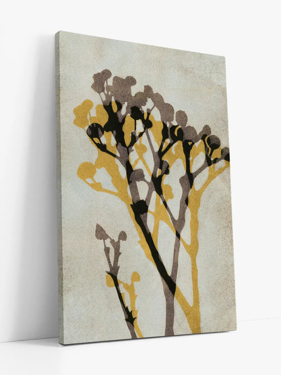 Echoes of Gypsophila