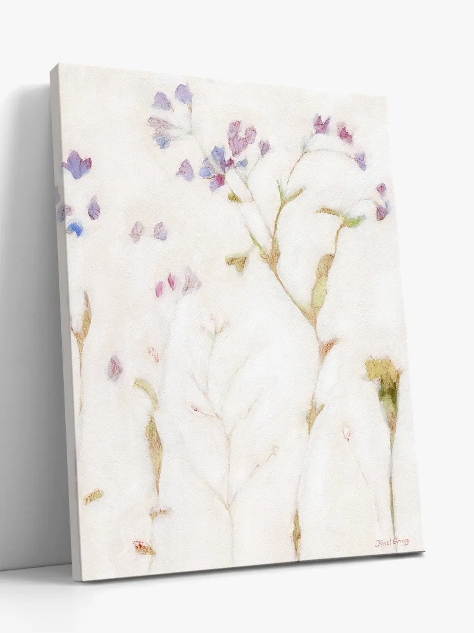 Faintly Lightly Phlox and Carnation