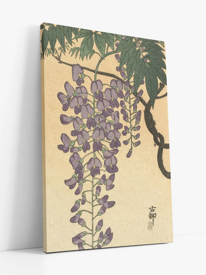 Flowering Wisteria