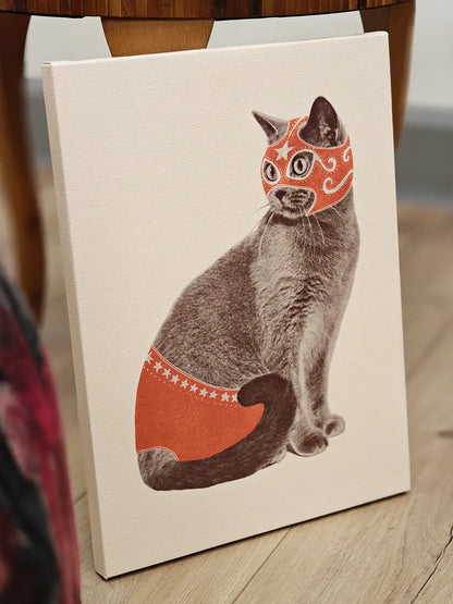Chat Catcheur