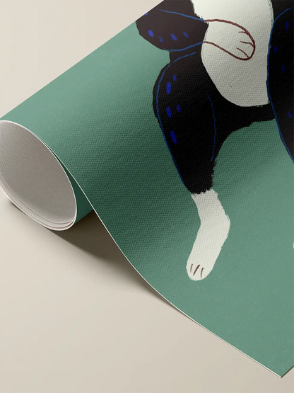 Black and White Cat