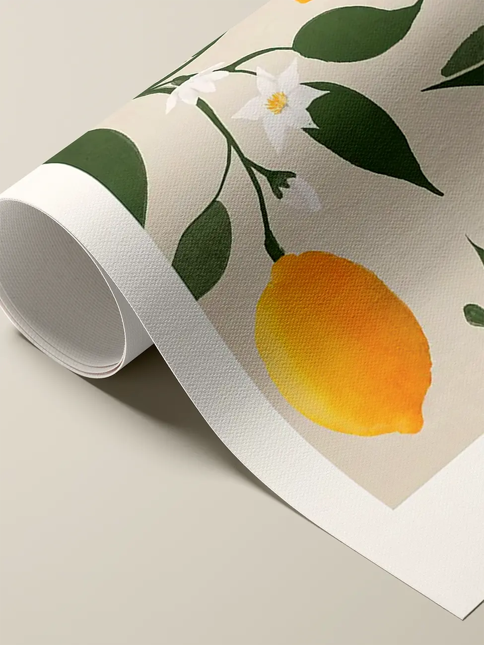 Лимон (Citrus Limonum)