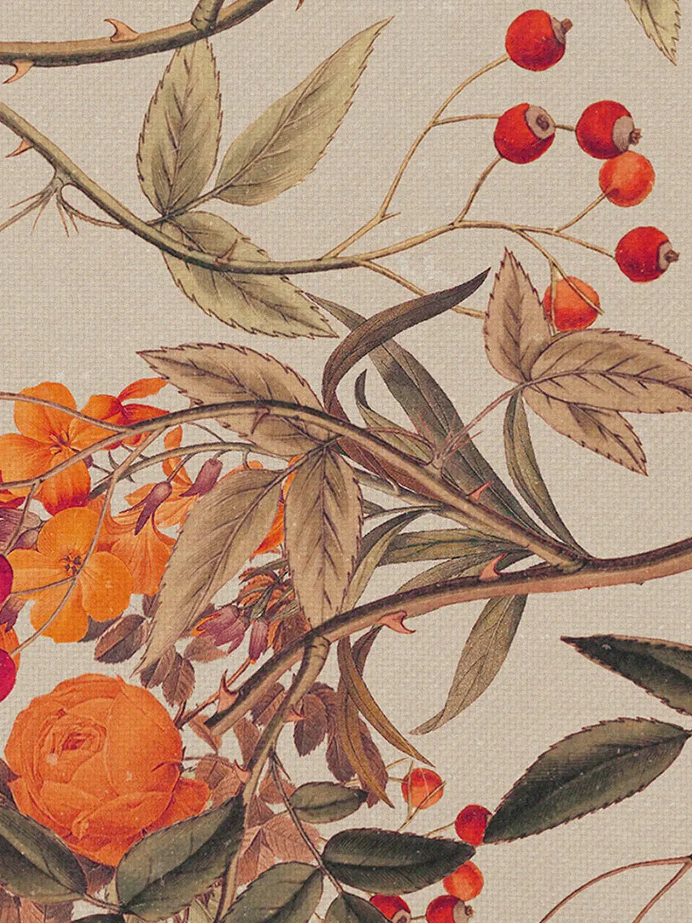 Корени от светлина