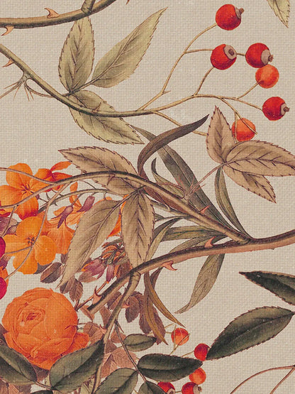 Корени от светлина