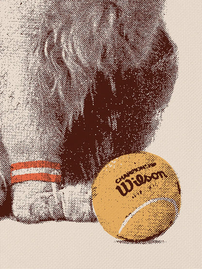 Tennis Cat