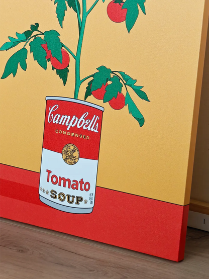 Campbell's Tomato Plant
