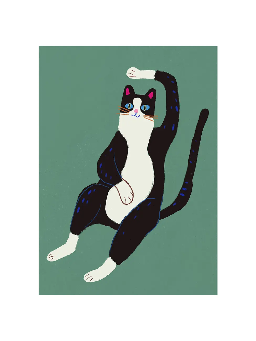Black and White Cat