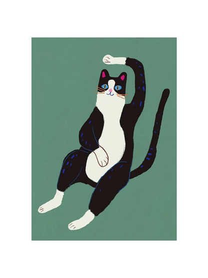 Black and White Cat