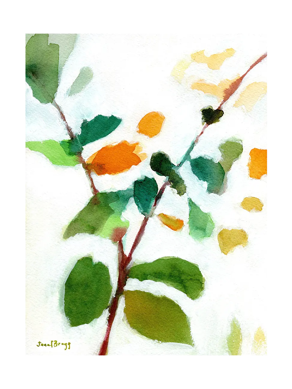 Botanical From the Courtyard IV