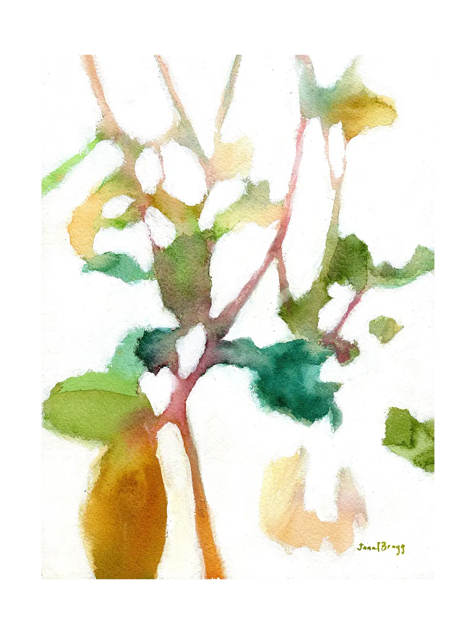 Botanical Impression
