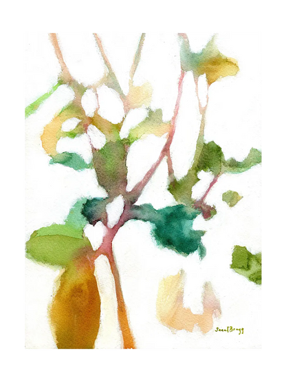 Botanical Impression