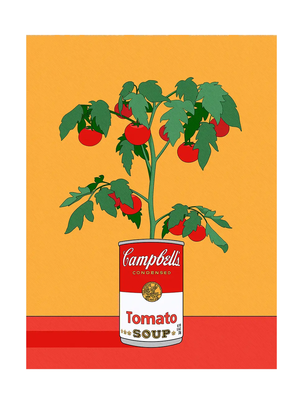 Campbell's Tomato Plant