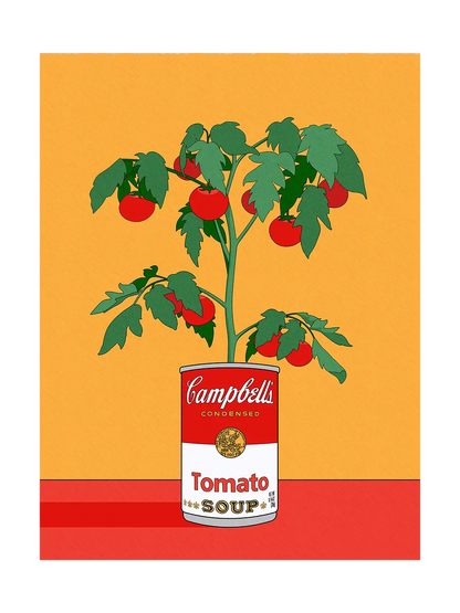 Campbell's Tomato Plant