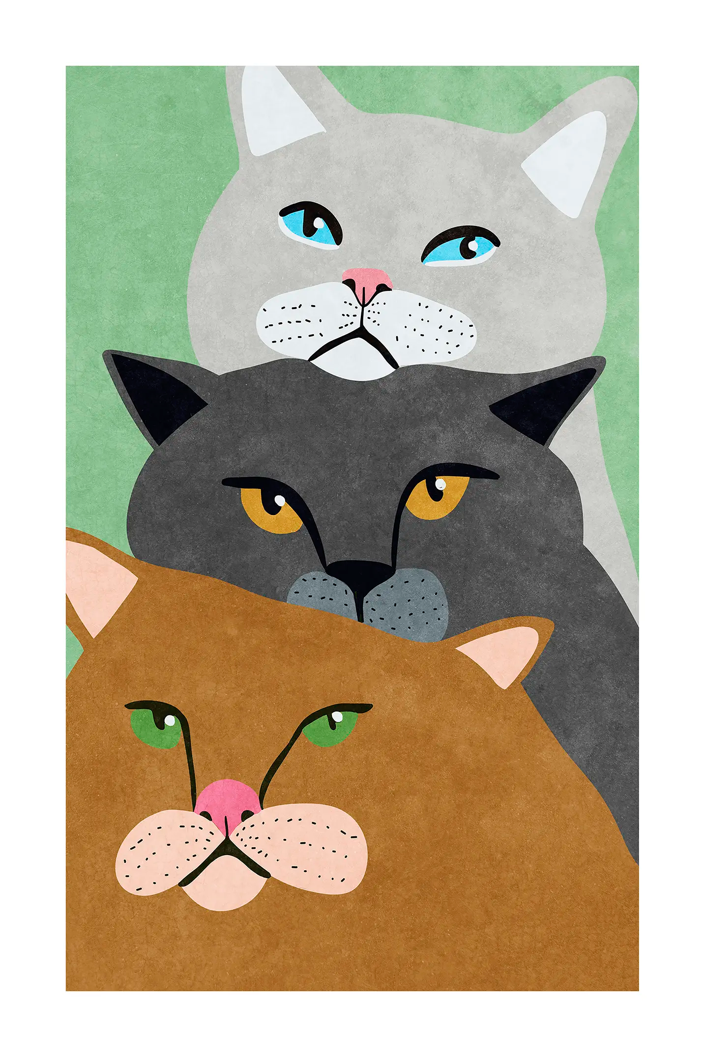 Cat Trio