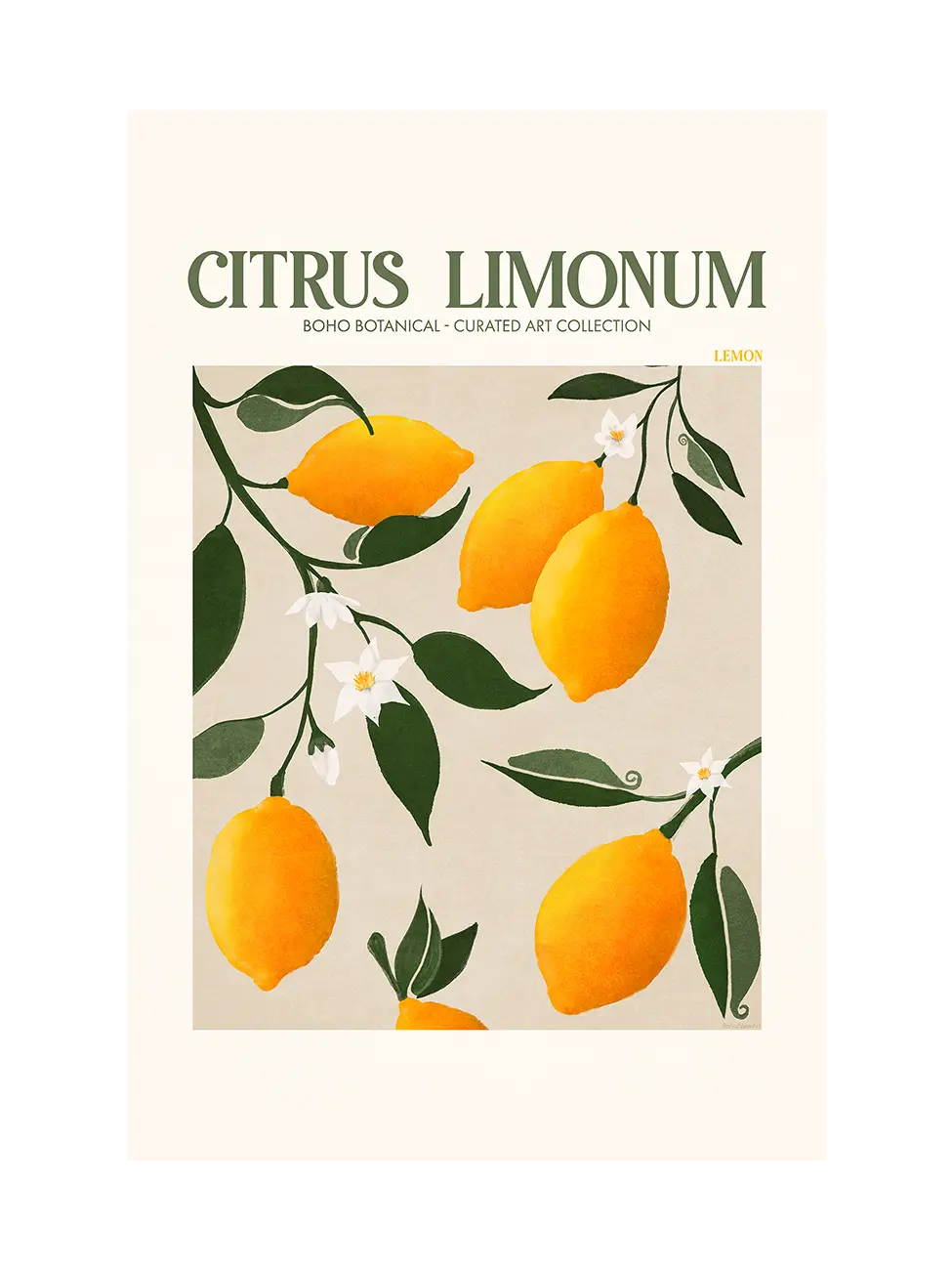 Лимон (Citrus Limonum)