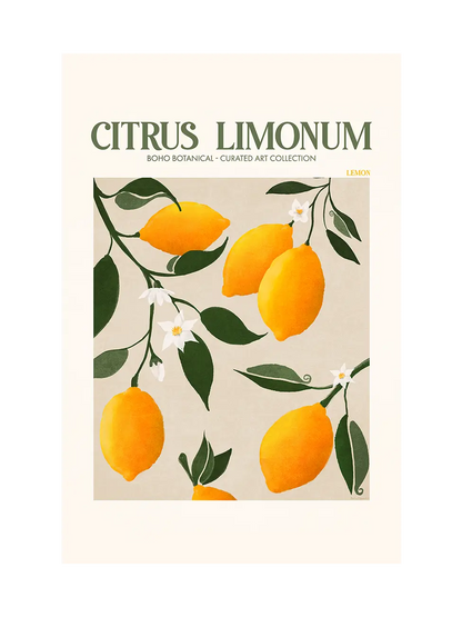 Лимон (Citrus Limonum)