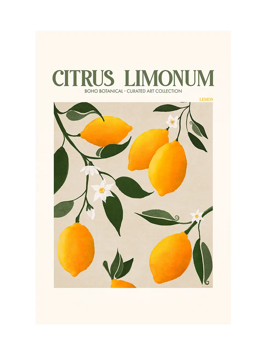 Citrus Limonum - Lemon