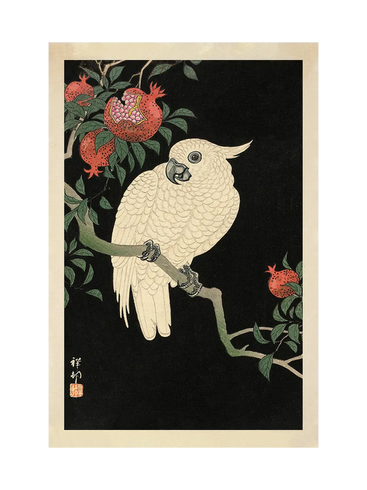 Cockatoo and Pomegranate