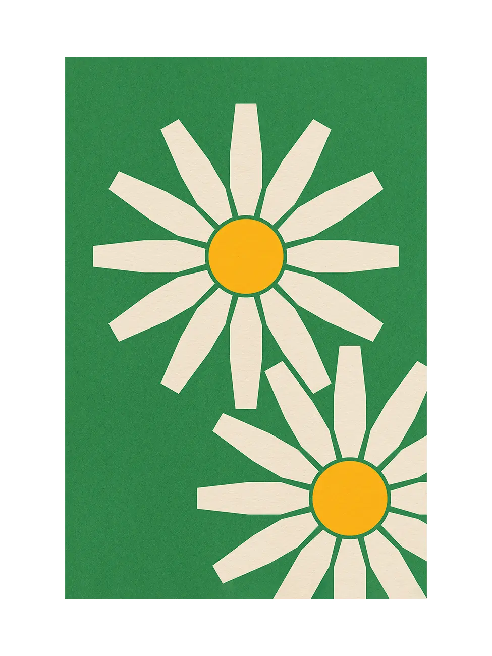 Daisies