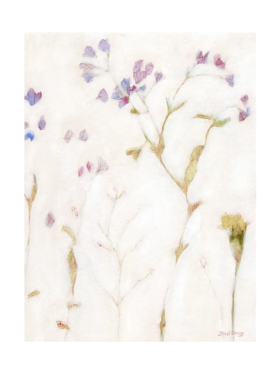 Faintly Lightly Phlox and Carnation