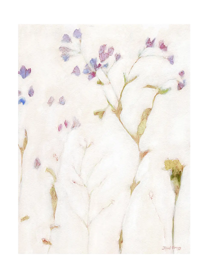Faintly Lightly Phlox and Carnation