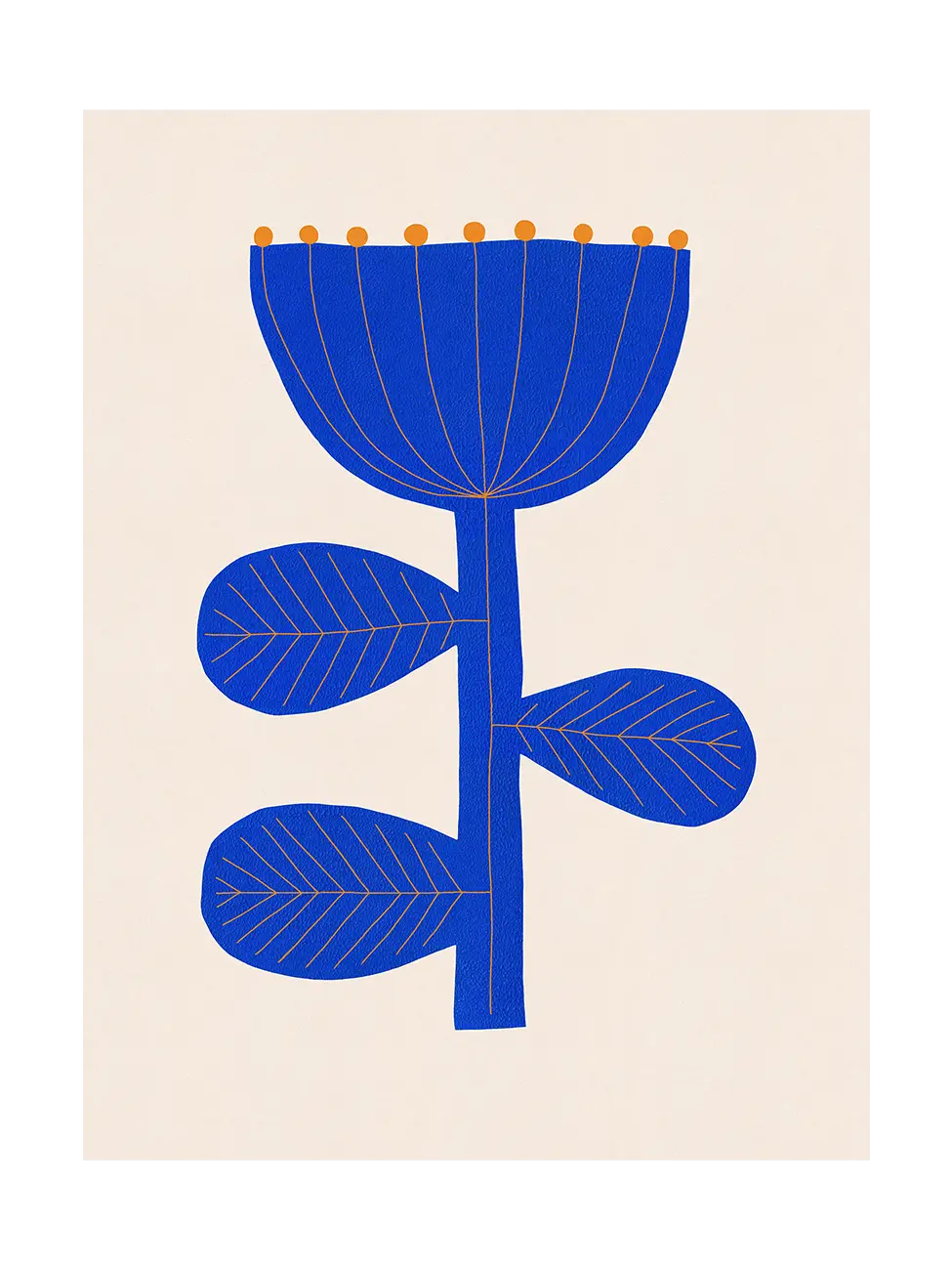 From the Secret Garden