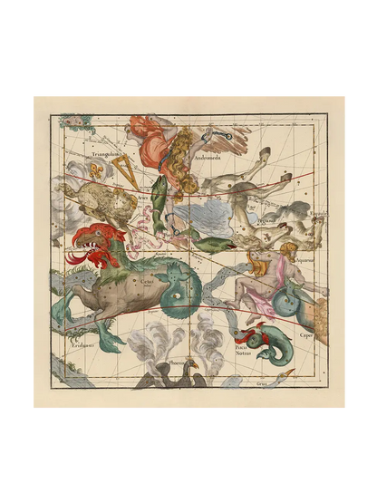 Globi Coelestis Plate 2