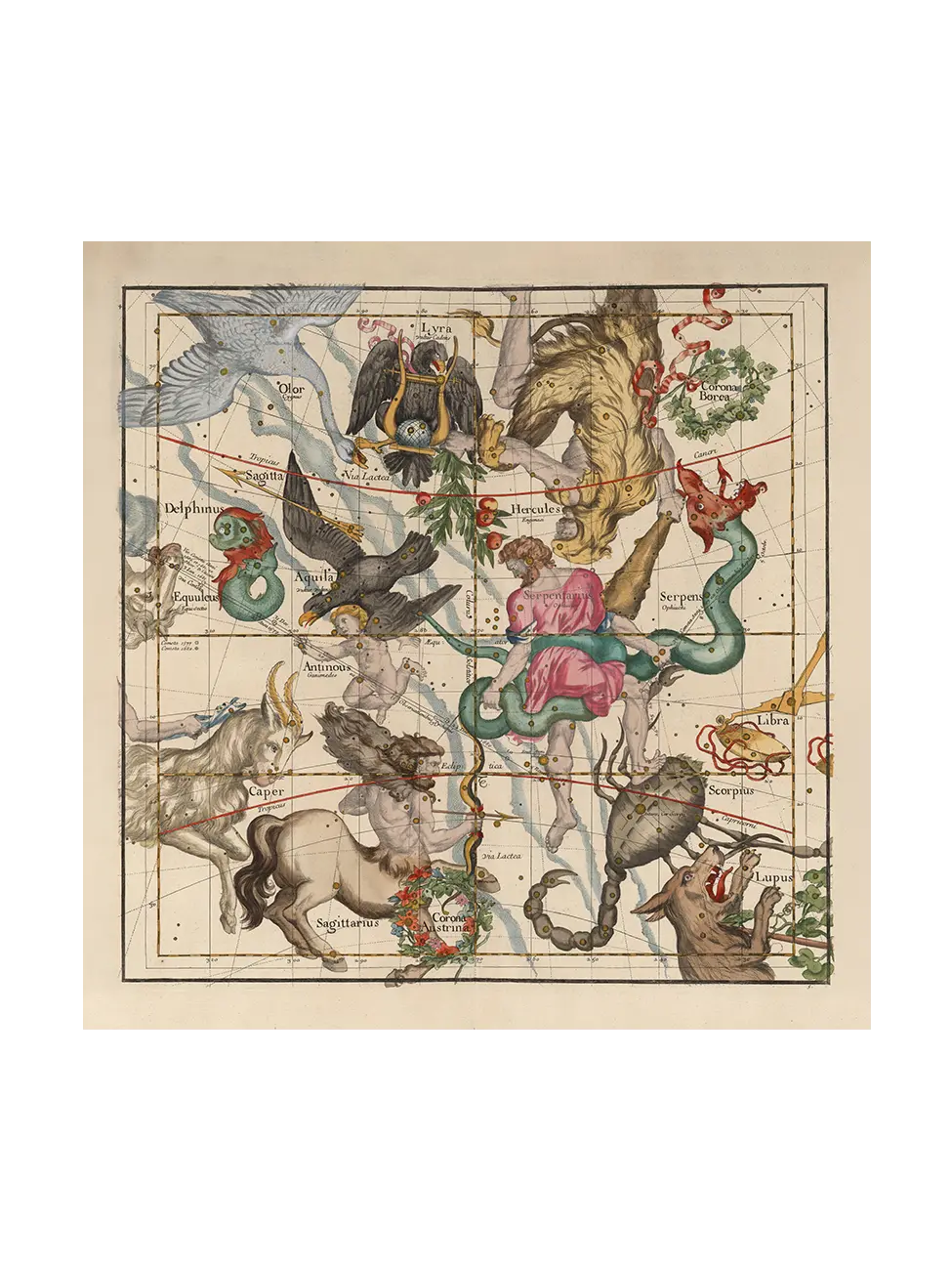 Globi Coelestis Plate 5
