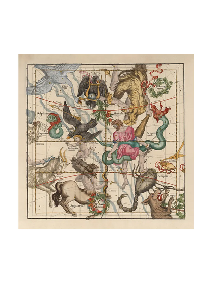 Globi Coelestis Plate 5