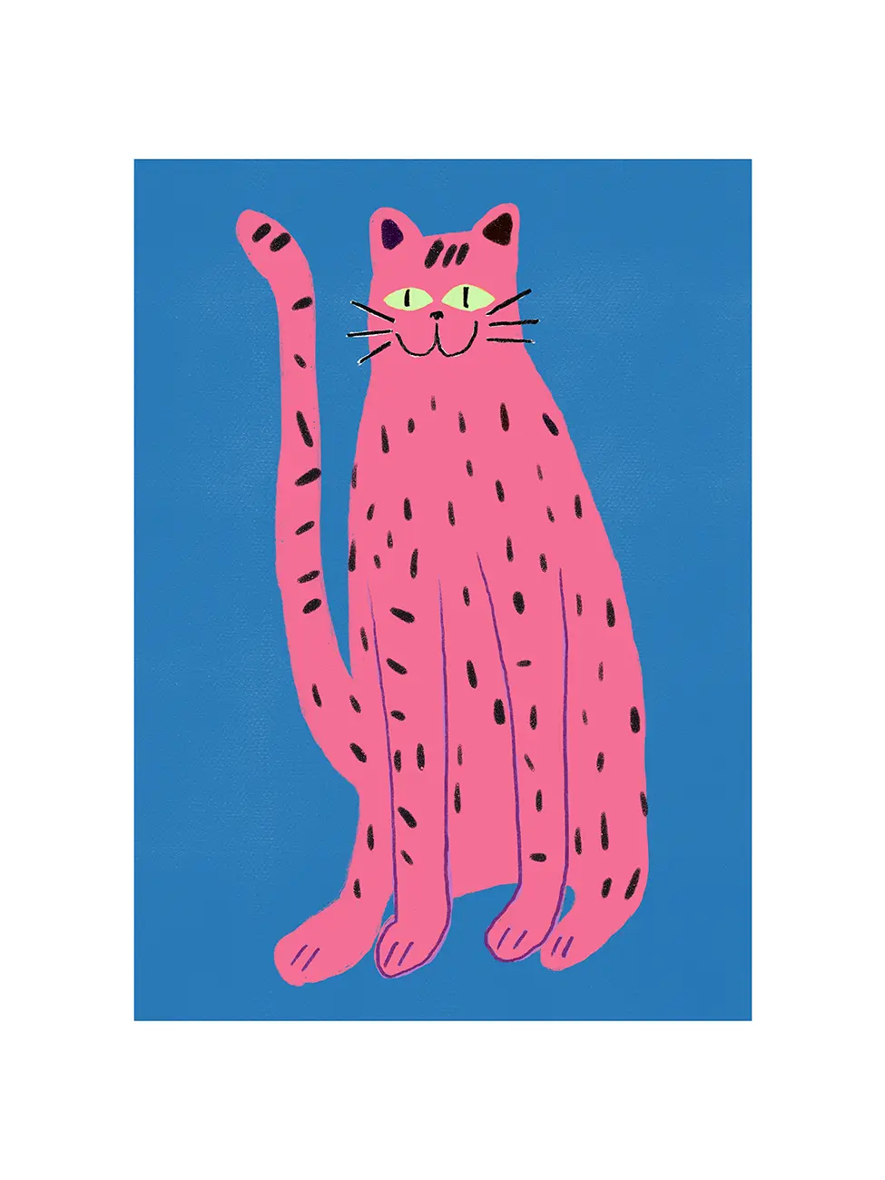 Pink Cat