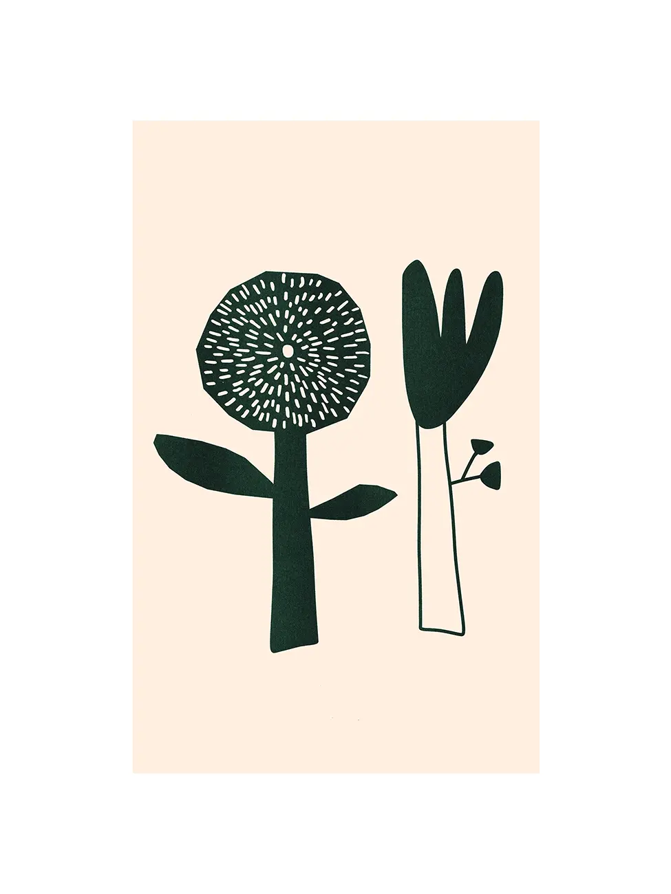 Riso Flowers