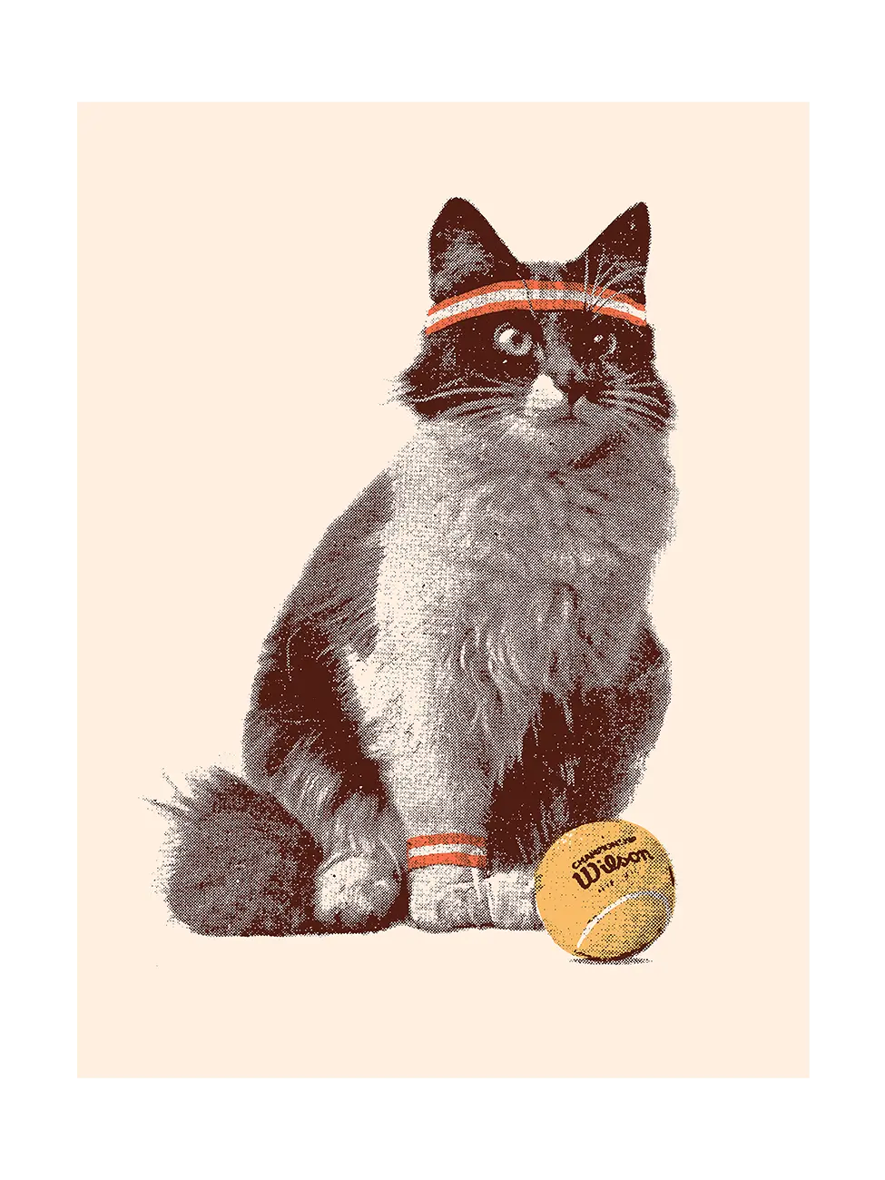 Tennis Cat