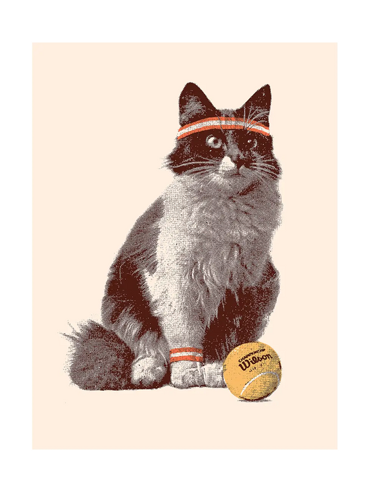 Tennis Cat