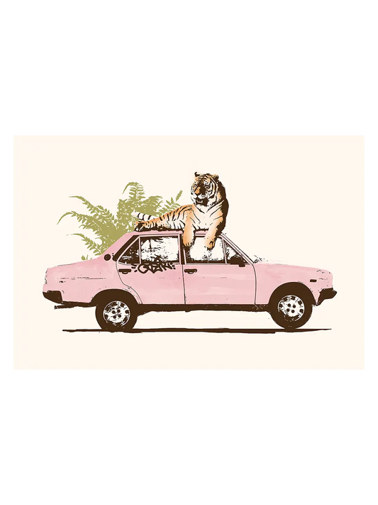 Tiger On Pink Car