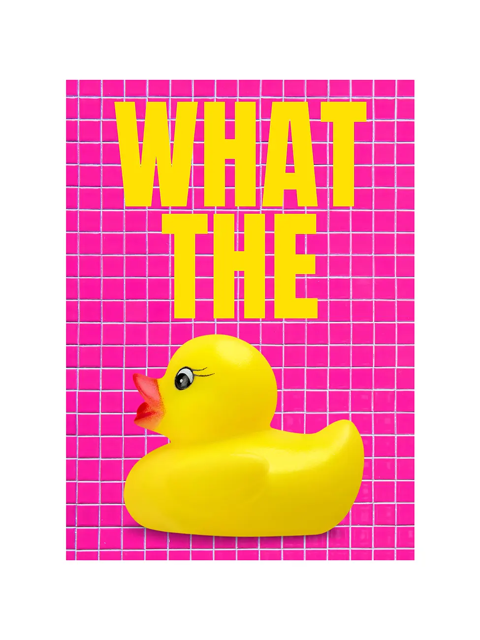 What the Duck