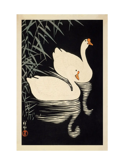 Two Geese Swimming Near Reeds