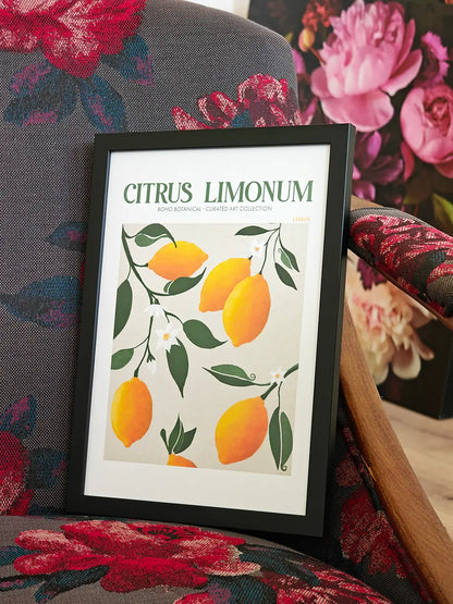 Лимон - Citrus Limonum