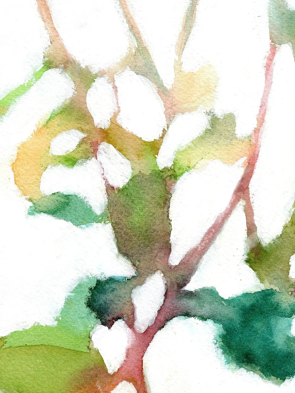 Botanical Impression