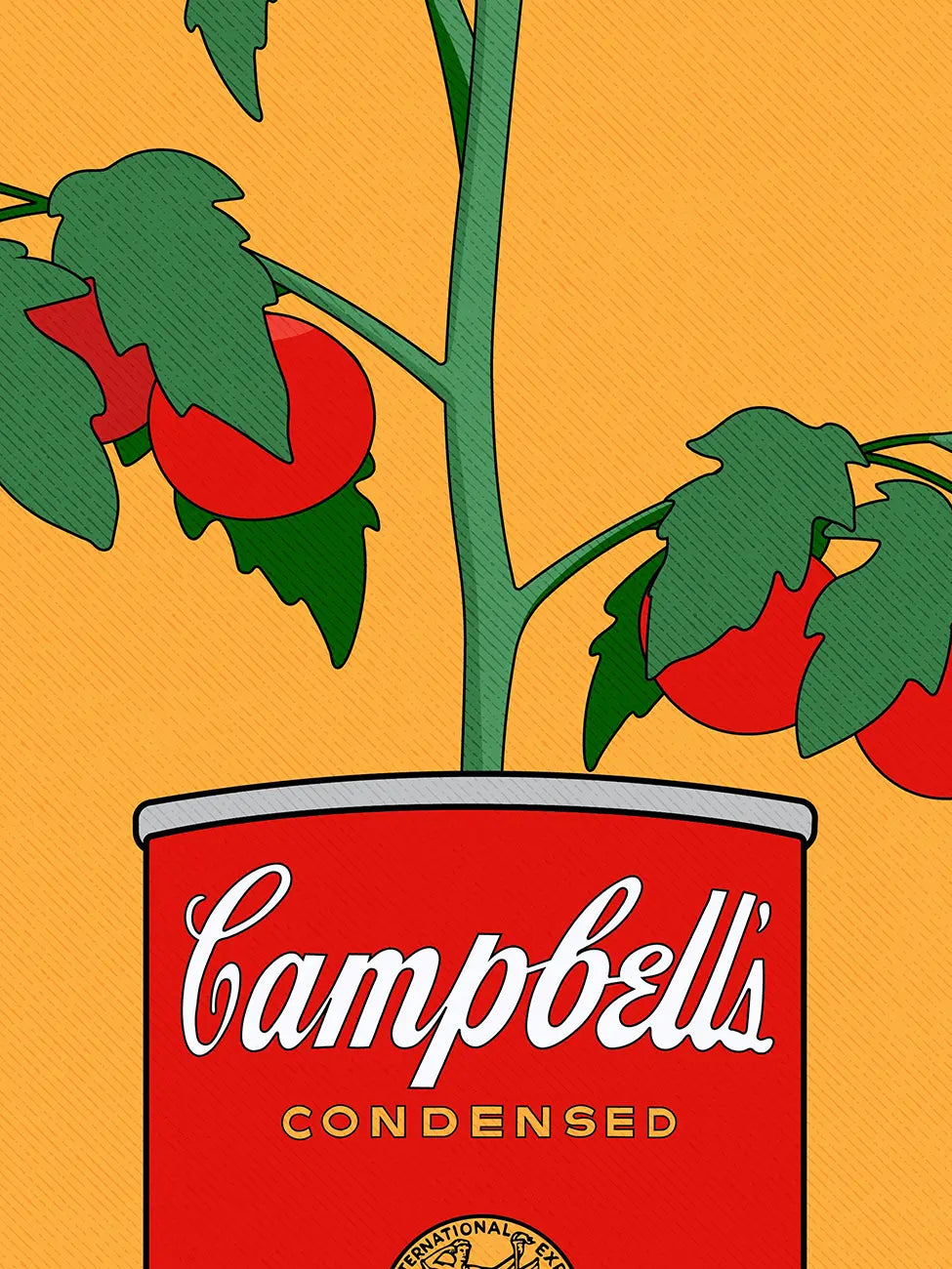 Campbell's Tomato Plant