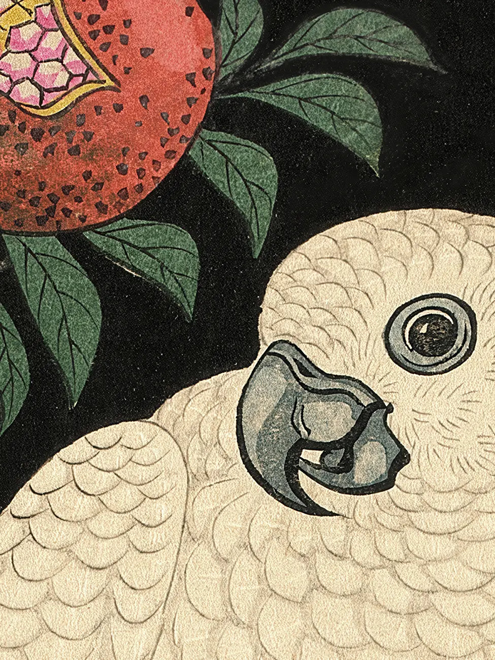 Какату и нар