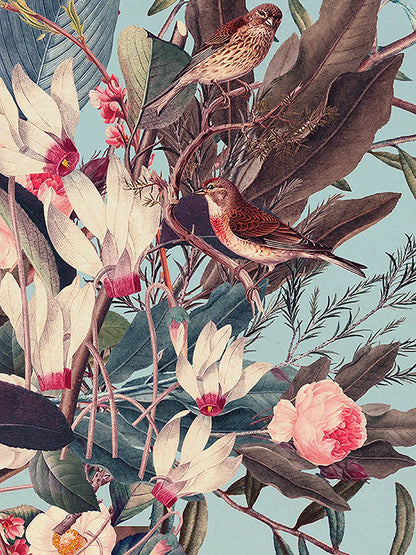 I Was Hidden but You Saw Me